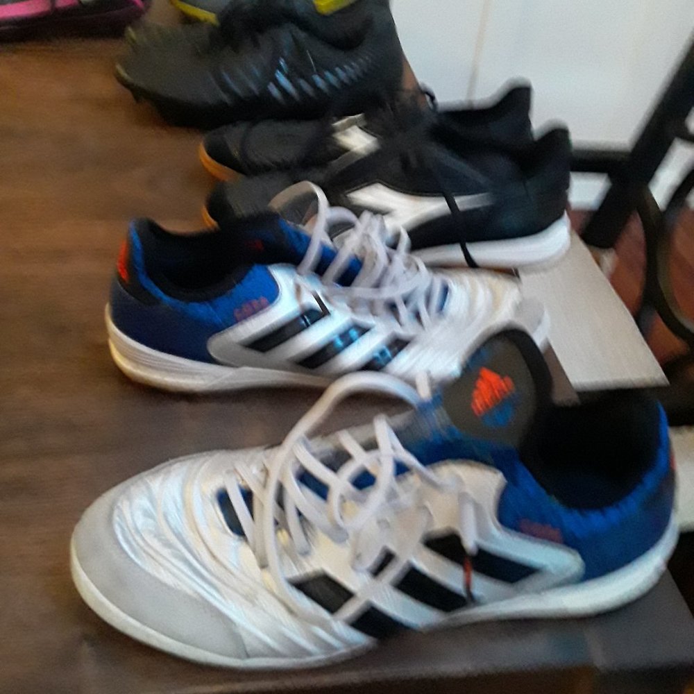 Copa indoor soccer shoes